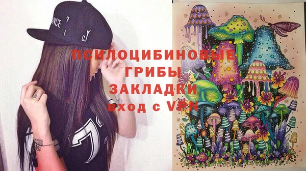 дмт Новодвинск