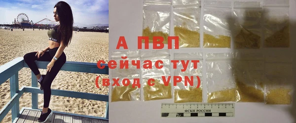 дмт Новодвинск