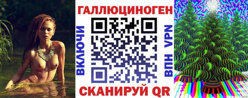 Галлюциногенные грибы Psilocybine cubensis Сыктывкар